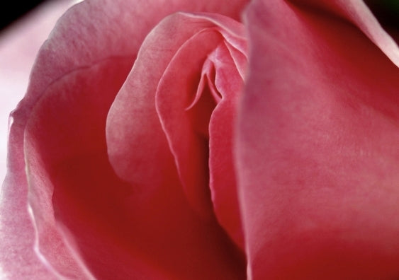 Come As You Are: How To Tickle Your Clitoris And Get The Pleasure You Deserve