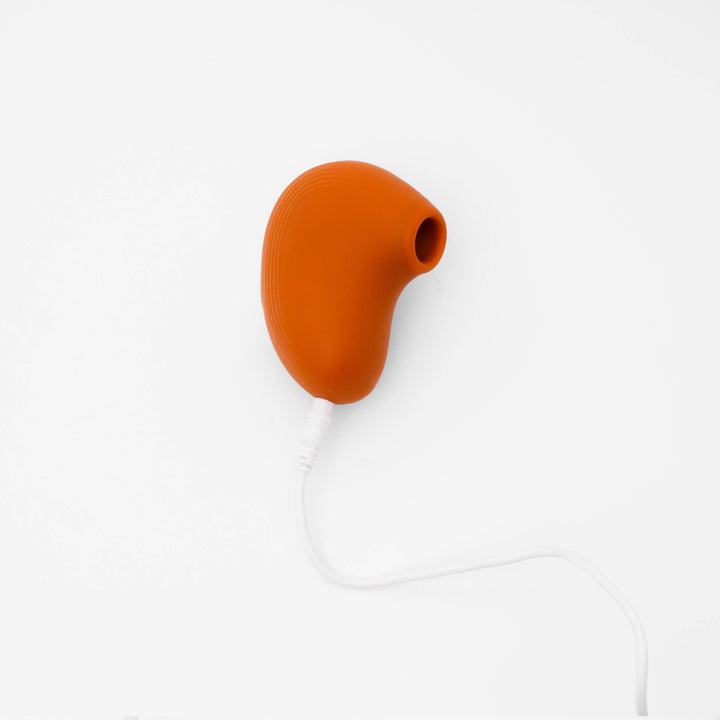 Bean USB Charger Wire