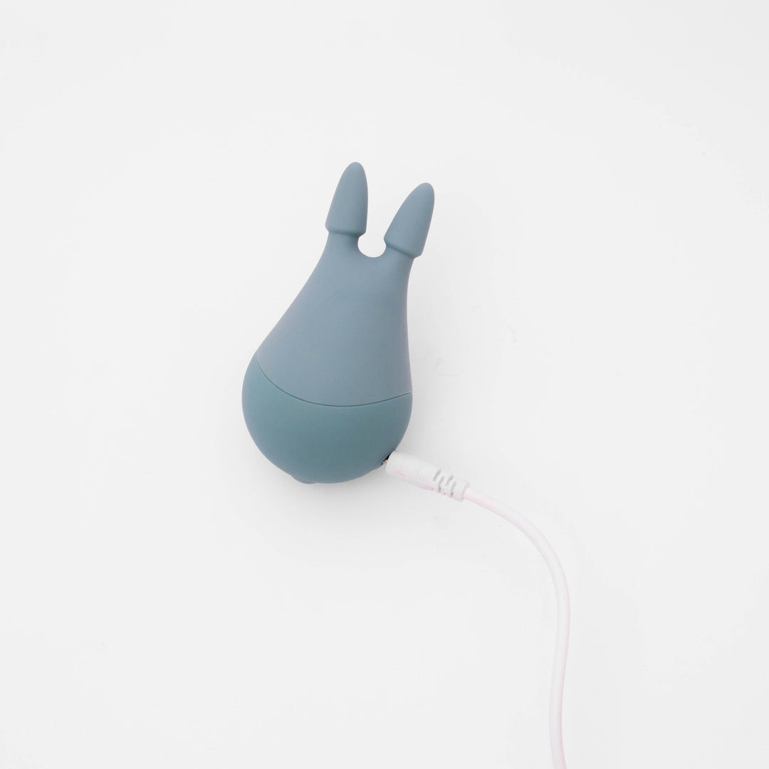 Chinchilla USB Charger Wire