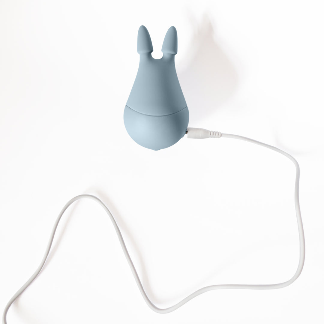 Chinchilla USB Charger Wire